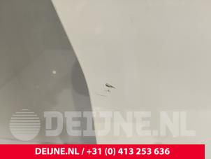 Mercedes Sprinter Tür 2-türig rechts O244552 foto 3
