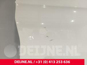 Mercedes Sprinter Tür 2-türig rechts O244559 foto 4