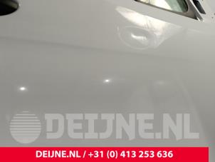 Mercedes Sprinter Tür 2-türig rechts O244562 foto 4