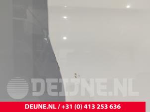 Mercedes Sprinter Tür 2-türig rechts O244563 foto 4