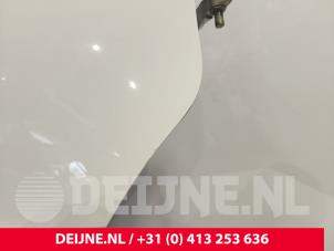 Mercedes Sprinter Tür 2-türig rechts O244565 foto 2