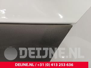 Mercedes Sprinter Tür 2-türig rechts O244566 foto 2