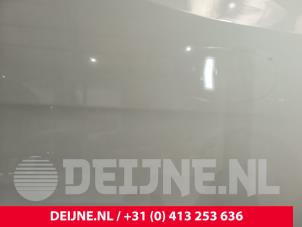 Mercedes Sprinter Tür 2-türig rechts O244570 foto 3