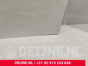 Mercedes Sprinter Tür 2-türig rechts O244572 foto 2