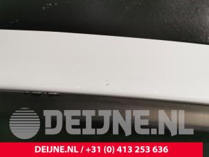 Mercedes Sprinter Tür 2-türig rechts O244578 foto 2