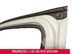Mercedes Sprinter Tür 2-türig rechts O244589 foto 4