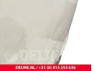 Mercedes Sprinter Portier 2Deurs rechts O244591 foto 2