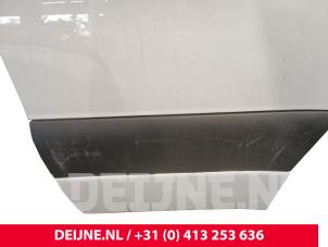Mercedes Sprinter Tür 2-türig rechts O244597 foto 3
