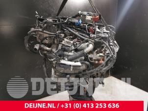Gebruikte Motor Ford Transit Connect (PJ2) 1.6 TDCi 16V 95 Prijs € 2.722,50 Inclusief btw aangeboden door van Deijne Onderdelen Uden B.V.