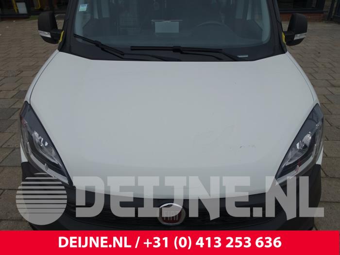 Fiat Doblo Motorhaube O247249