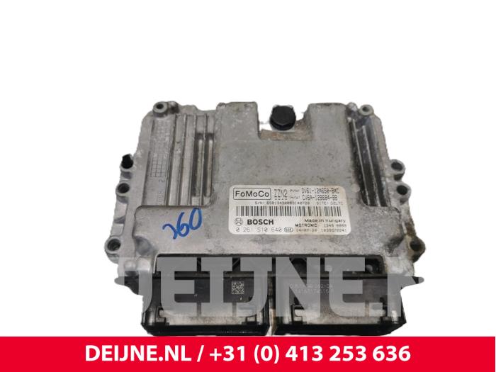 Ford Transit Connect Computer Motormanagement O250210