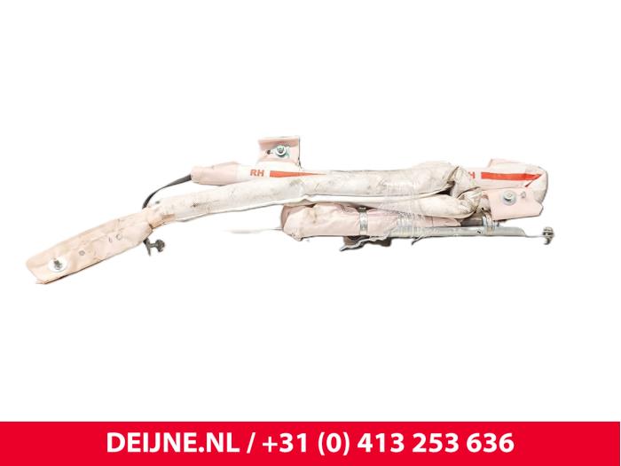 Tesla Model S Airbag hemel rechts O255554