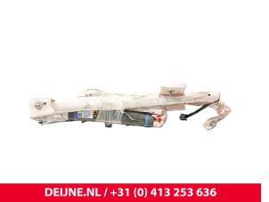 Tesla Model S Airbag Himmel rechts O255554 foto 2