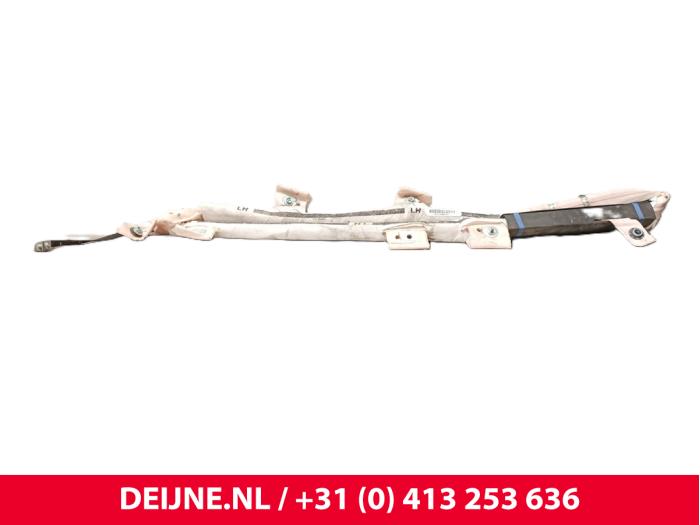 Tesla Model S Airbag hemel links O255555