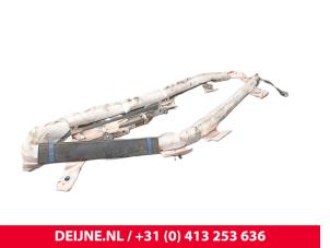 Tesla Model S Airbag hemel links O255555 foto 3