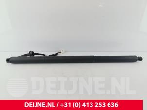 Gebruikte Gasdemper links-achter Volvo C40 Recharge (XK) Recharge Twin 78 kWh Prijs € 242,00 Inclusief btw aangeboden door van Deijne Onderdelen Uden B.V.