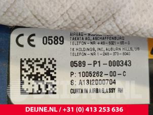 Tesla Model S Airbag Himmel rechts O258345 foto 3