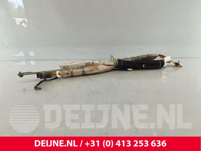 Tesla Model S Airbag Himmel links O258346