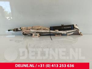 Tesla Model S Airbag Himmel links O258346 foto 3