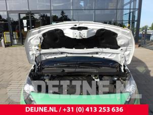 Ford Transit Connect Motorkap O259218 foto 2