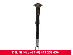 BYD Atto 3 Rear shock absorber, left O259404 photo 2