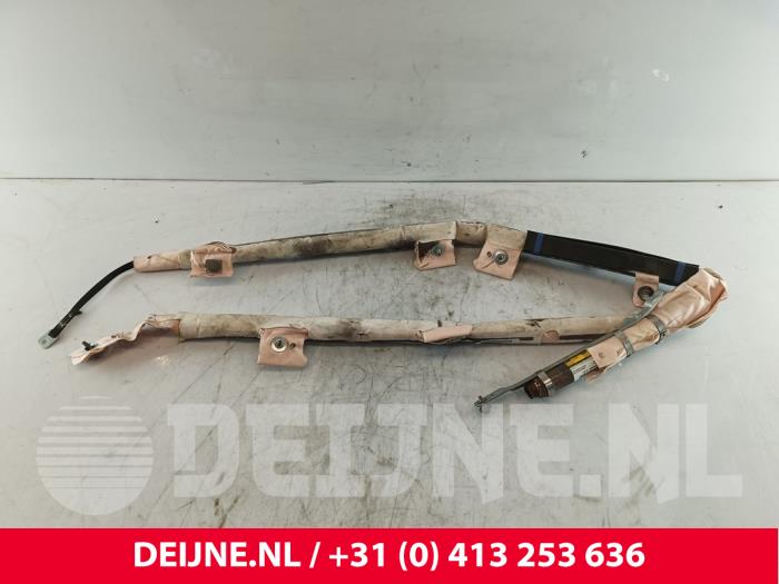 Tesla Model S Airbag hemel links O259809