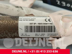 Tesla Model S Airbag hemel links O259809 foto 3