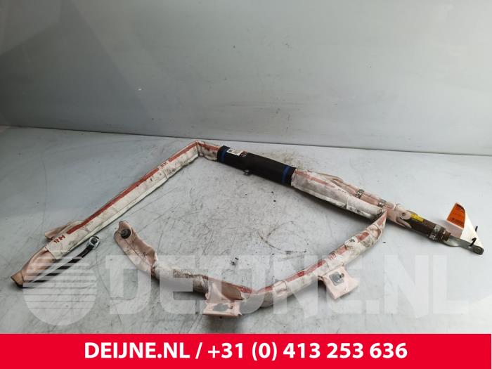 Tesla Model S Airbag hemel rechts O259810