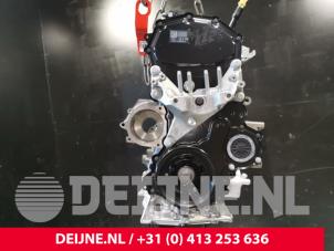 Ford Transit Motor O260374 foto 2