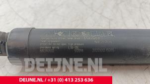 Lynk & Co 01 Gasdämpfer links hinten O262669 foto 2