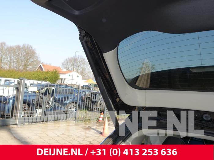 Lynk & Co 01 Gasdemper links-achter O265482