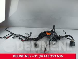 Gebruikte Kabelboom Ford Transit Custom 2.0 EcoBlue 136 Prijs € 60,50 Inclusief btw aangeboden door van Deijne Onderdelen Uden B.V.