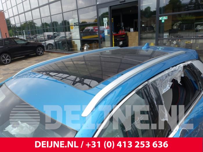 BYD Atto 3 Panoramadach O269013