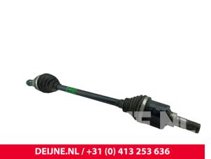 BYD Dolphin Front drive shaft, right O269084 photo 2