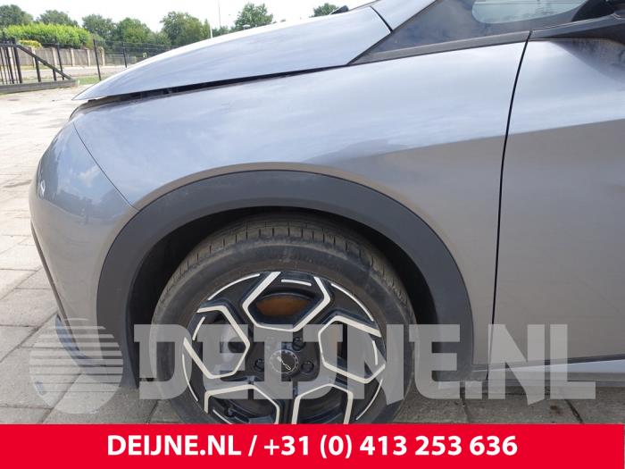 BYD Dolphin Scherm links-voor O269207