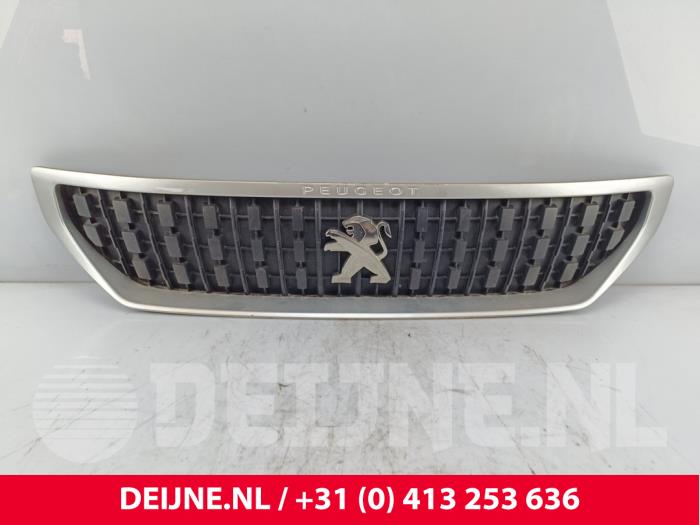 Peugeot Expert Grille O269356