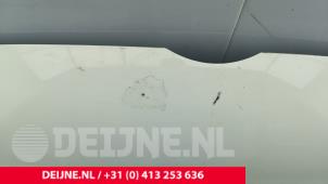 Volkswagen Transporter Bonnet O270668 photo 3