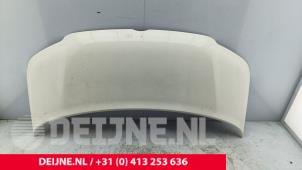 Volkswagen Transporter Bonnet O270668 photo 2