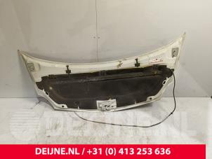 Renault Kangoo Motorhaube O271743 foto 2