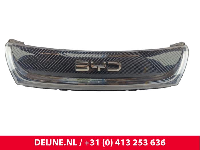 BYD Dolphin Grille O272202