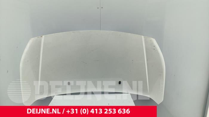 Ford Transit Connect Motorhaube O276579