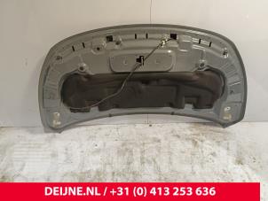 Mercedes Citan Motorhaube O276671 foto 2