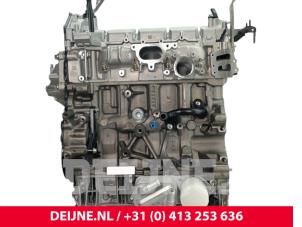 Ford Transit Custom Motor O278185 foto 2