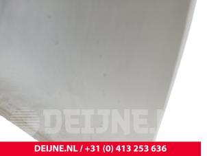 Mercedes Vito Tür 2-türig links O279621 foto 3
