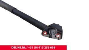 BYD Atto 3 Rear gas strut, left O285656 photo 2