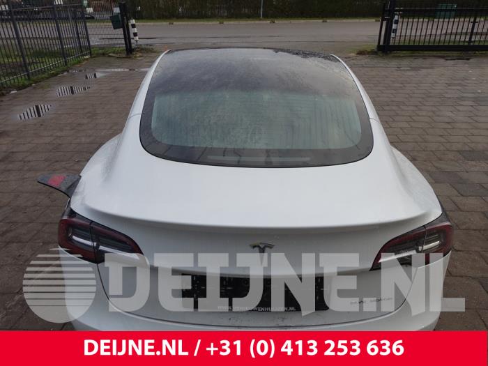 Tesla Model 3 Panoramadach O286092