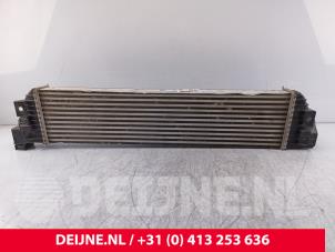 Nissan Interstar Ladeluftkühler O288697 foto 2