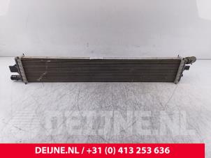 Nissan Interstar Intercooler O288831 photo 3