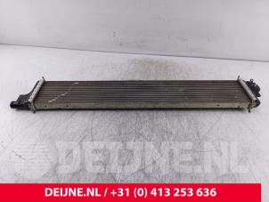 Nissan Interstar Intercooler O288831 photo 2