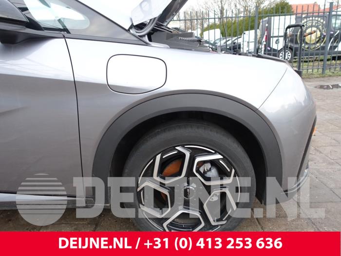 BYD Dolphin Scherm rechts-voor O291119
